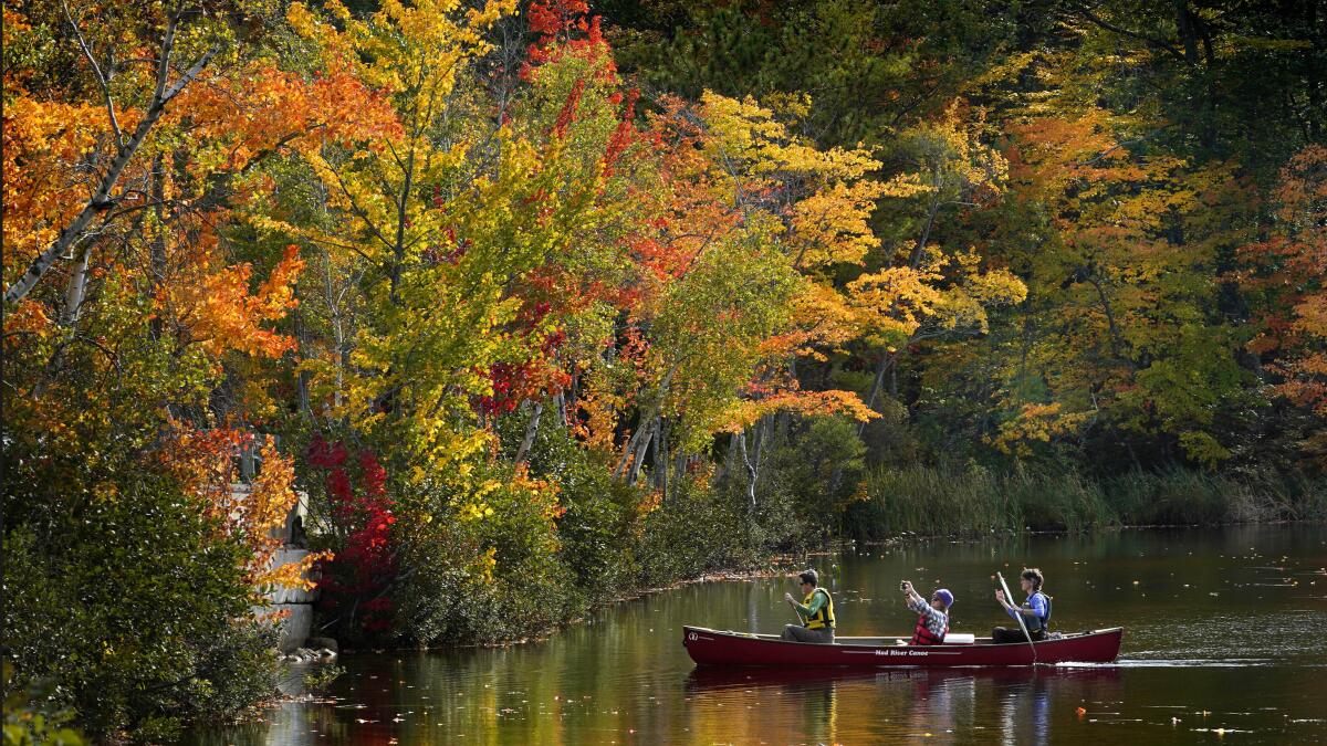 Day and night get equal billing Monday as fall equinox arrives. Here's what to know